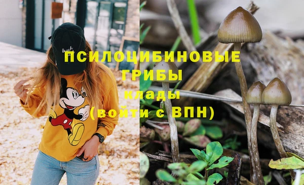 тгк Армянск